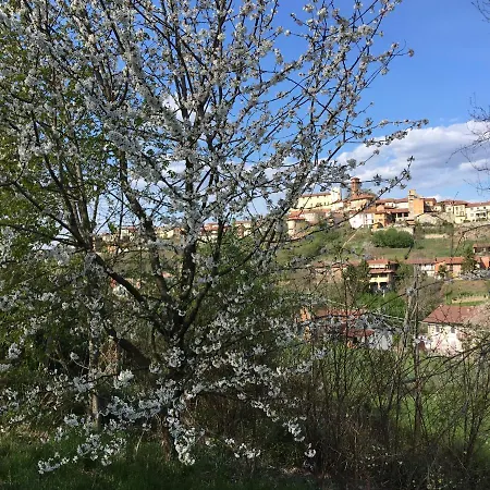 Villa Bacchus