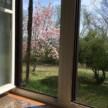 Bacchus فيلة Cortanze