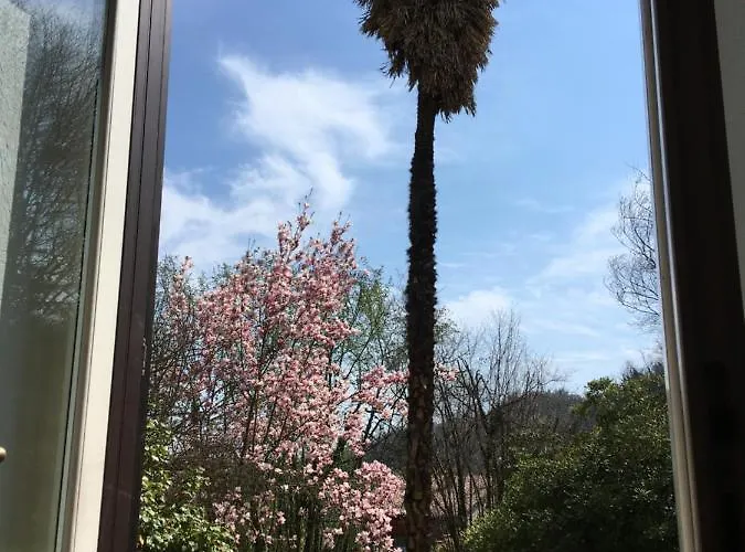 Bacchus Villa Cortanze